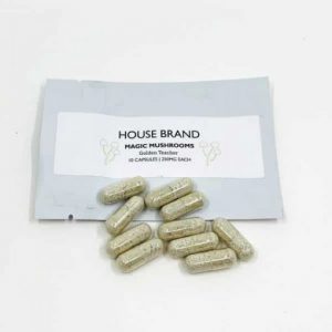 Premium magic mushroom capsules